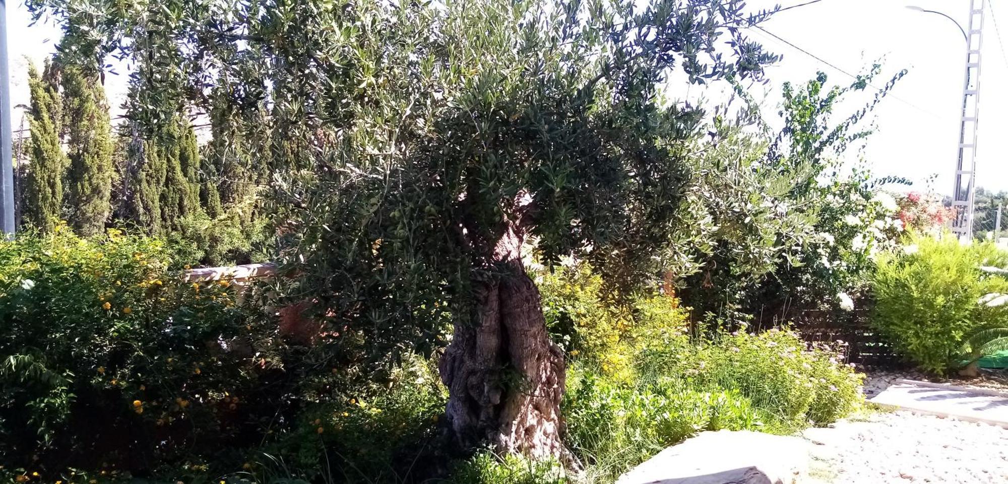 Villa Casa Kenaz El Campello Bagian luar foto