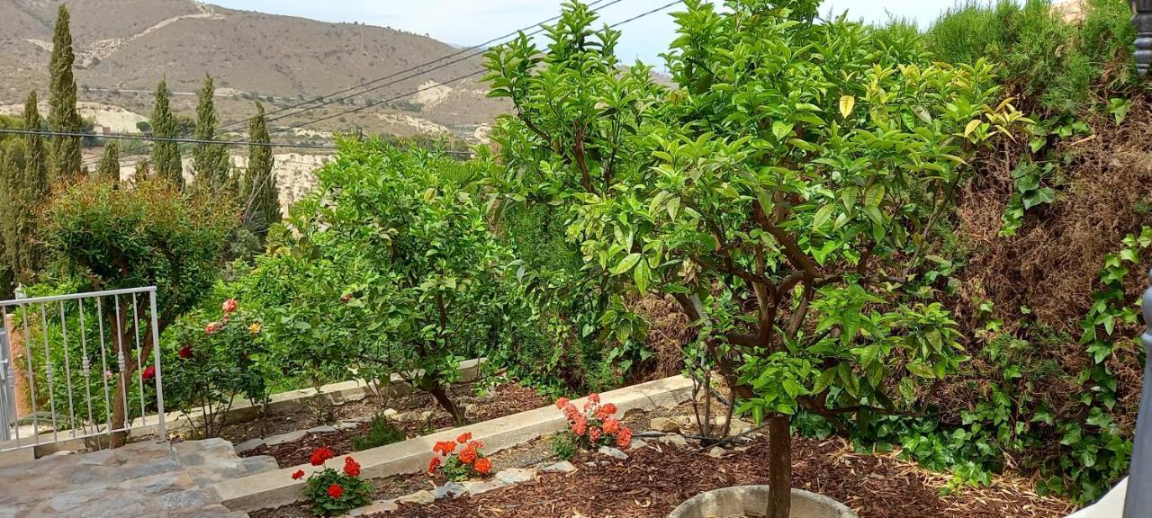 Villa Casa Kenaz El Campello Bagian luar foto